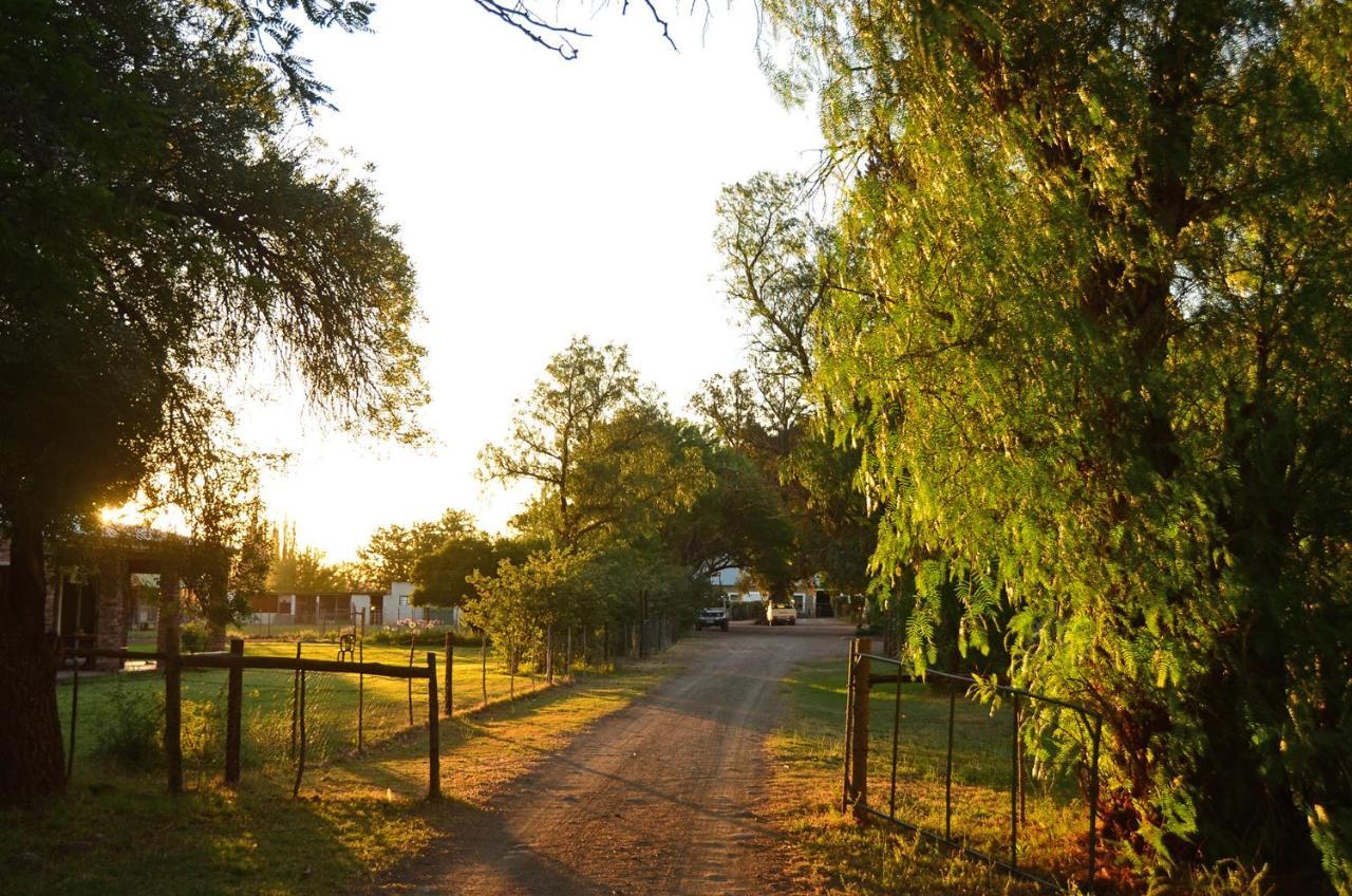 Beaconsfield Farm Villa Hofmeyr ภายนอก รูปภาพ